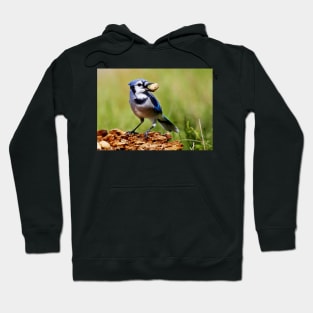 Blue Jay Hoodie